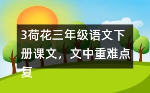 3荷花三年級(jí)語文下冊(cè)課文，文中重難點(diǎn)復(fù)習(xí)筆記歸納