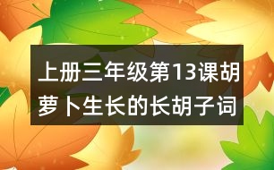上冊(cè)三年級(jí)第13課胡蘿卜生長(zhǎng)的長(zhǎng)胡子詞語理解
