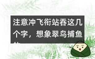 注意沖飛銜站吞這幾個(gè)字，想象翠鳥(niǎo)捕魚(yú)的情景