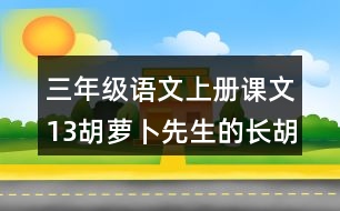 三年級(jí)語(yǔ)文上冊(cè)課文13胡蘿卜先生的長(zhǎng)胡子課堂筆記之本課重難點(diǎn)