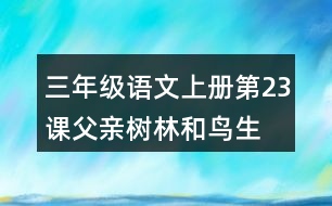 三年級(jí)語(yǔ)文上冊(cè)第23課父親、樹林和鳥生字組詞與近反義詞
