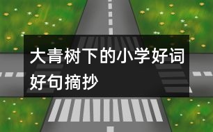 大青樹下的小學好詞好句摘抄