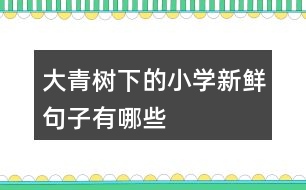 大青樹下的小學新鮮句子有哪些