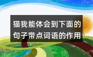 貓我能體會(huì)到下面的句子帶點(diǎn)詞語(yǔ)的作用，還能用這些詞語(yǔ)說(shuō)句子呢。