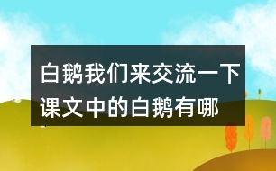 白鵝我們來交流一下,課文中的白鵝有哪些特點，作者是怎樣具體描寫這些特點的。