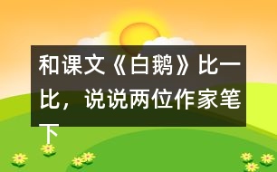 和課文《白鵝》比一比，說說兩位作家筆下的鵝有什么共同點？