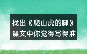 找出《爬山虎的腳》課文中你覺得寫得準確、形象的句子，抄寫下來。