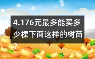 4.176元最多能買多少棵下面這樣的樹苗？