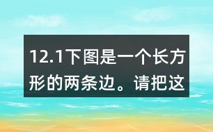 12.（1）下圖是一個長方形的兩條邊。請把這個長方形畫完整。