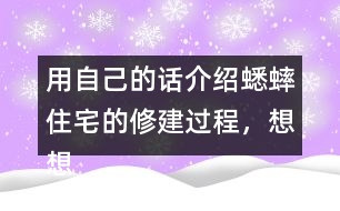 用自己的話介紹蟋蟀住宅的修建過程，想想為什么蟋蟀的住宅可以算是“偉大的工程”。