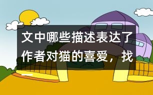 文中哪些描述表達了作者對貓的喜愛，找一找
