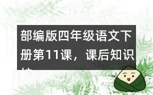 部編版四年級語文下冊第11課，課后知識擴展：什么是白樺樹