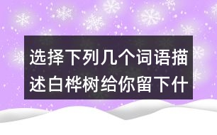 選擇下列幾個(gè)詞語描述白樺樹給你留下什么印象