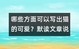 哪些方面可以寫出貓的可愛？默讀文章說一說
