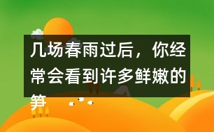 幾場(chǎng)春雨過(guò)后，你經(jīng)常會(huì)看到許多鮮嫩的筍，成群的從土里探出來(lái)，找到文中類(lèi)似的句子