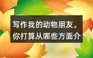 寫作：我的動(dòng)物朋友。你打算從哪些方面介紹它的特點(diǎn)？