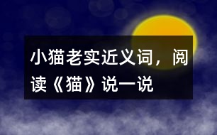 小貓老實近義詞，閱讀《貓》說一說