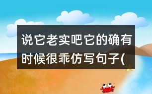 說它老實(shí)吧它的確有時(shí)候很乖仿寫句子(寫動物)