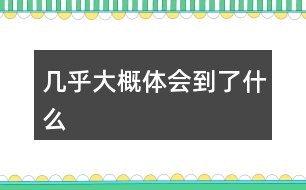 幾乎大概體會(huì)到了什么