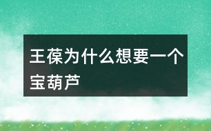 王葆為什么想要一個寶葫蘆