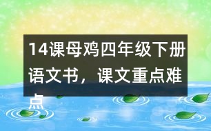 14課母雞四年級(jí)下冊(cè)語(yǔ)文書(shū)，課文重點(diǎn)難點(diǎn)筆記