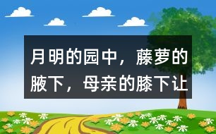 “月明的園中，藤蘿的腋下，母親的膝下”讓你有何感受？