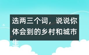 選兩三個(gè)詞，說(shuō)說(shuō)你體會(huì)到的鄉(xiāng)村和城市生活有何不同