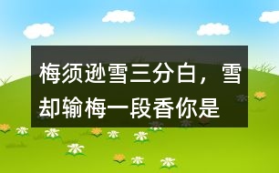“梅須遜雪三分白，雪卻輸梅一段香”你是如何理解的