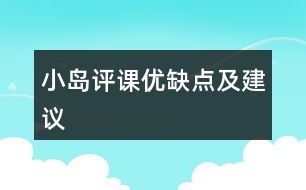 小島評課優(yōu)缺點(diǎn)及建議