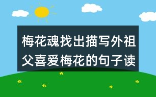 梅花魂找出描寫外祖父喜愛梅花的句子讀一讀，體會這些句子對表達(dá)外祖父的思鄉(xiāng)之情有什么好處。