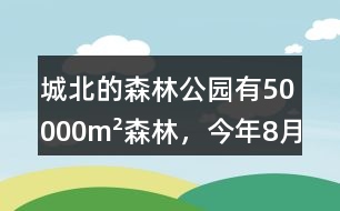 城北的森林公園有50000m2森林，今年8月份這片森林一共吸收了多少二氧化碳?