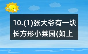 10.(1)張大爺有一塊長方形小菜園(如上圖)，他想用籬笆圍起來，需要籬笆多少米? (2)如果兩個公司所售的籬笆質(zhì)量相同，你能幫張大爺推薦一下，選用哪家公司的比較合算?你是怎樣想的?與同伴進行交流。