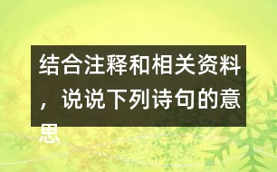 結(jié)合注釋和相關(guān)資料，說說下列詩句的意思，王師北定中原日，家祭無忘告乃翁。