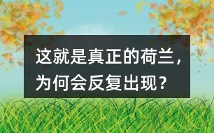 這就是真正的荷蘭，為何會(huì)反復(fù)出現(xiàn)？