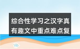 綜合性學習之漢字真有趣文中重點難點復(fù)習筆記