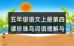 五年級(jí)語(yǔ)文上冊(cè)第四課珍珠鳥(niǎo)詞語(yǔ)理解與搭配
