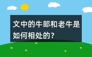 文中的牛郎和老牛是如何相處的？