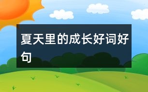 夏天里的成長(zhǎng)好詞好句