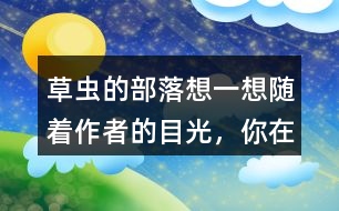 草蟲的部落想一想隨著作者的目光，你在“曹操的部落”看到了什么，印象最深的有哪些？