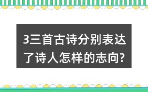 3、三首古詩分別表達了詩人怎樣的志向?表達的方法有什么共同特點?
