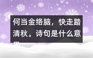 何當(dāng)金絡(luò)腦，快走踏清秋。詩(shī)句是什么意思