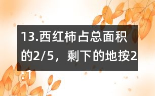 13.西紅柿占總面積的2/5，剩下的地按2:1的比種黃瓜和茄子。