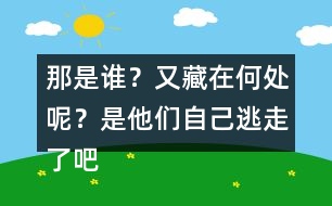 那是誰？又藏在何處呢？是他們自己逃走了吧……這樣表達(dá)好處在哪里？