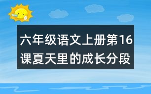 六年級(jí)語(yǔ)文上冊(cè)第16課夏天里的成長(zhǎng)分段與段落大意