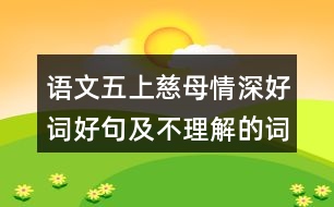 語(yǔ)文五上慈母情深好詞好句及不理解的詞語(yǔ)