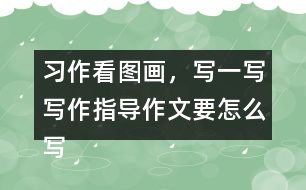 習(xí)作：看圖畫，寫一寫寫作指導(dǎo)作文要怎么寫
