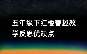五年級下紅樓春趣教學(xué)反思優(yōu)缺點(diǎn)