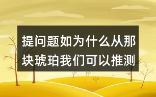 提問題如：為什么從那塊琥珀我們可以推測出幾千萬年前故事？