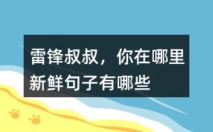 雷鋒叔叔，你在哪里新鮮句子有哪些