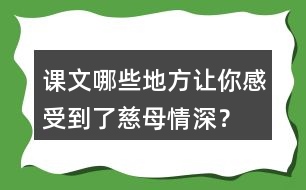 課文哪些地方讓你感受到了慈母情深？